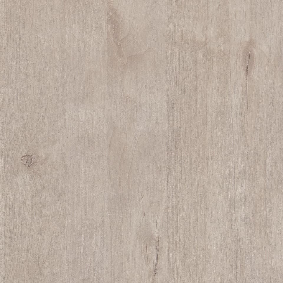 Angora Oak