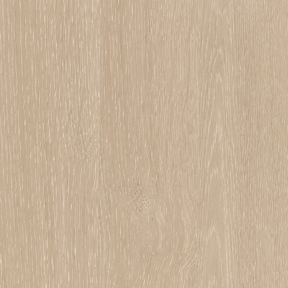 Coastal Oak