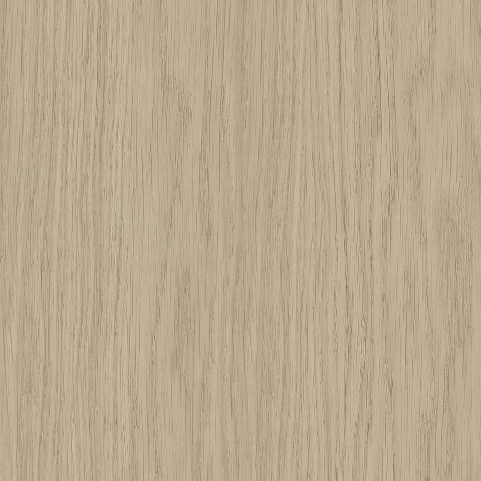 Laurel Oak
