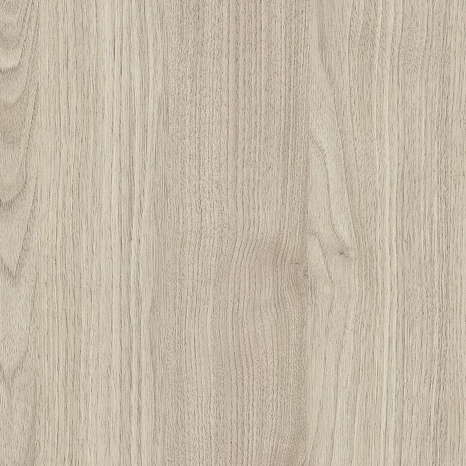 Ligurian Walnut