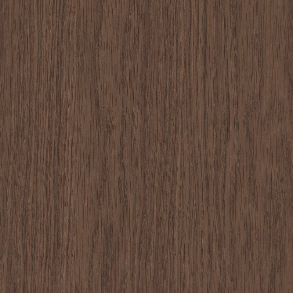 Rubra Oak