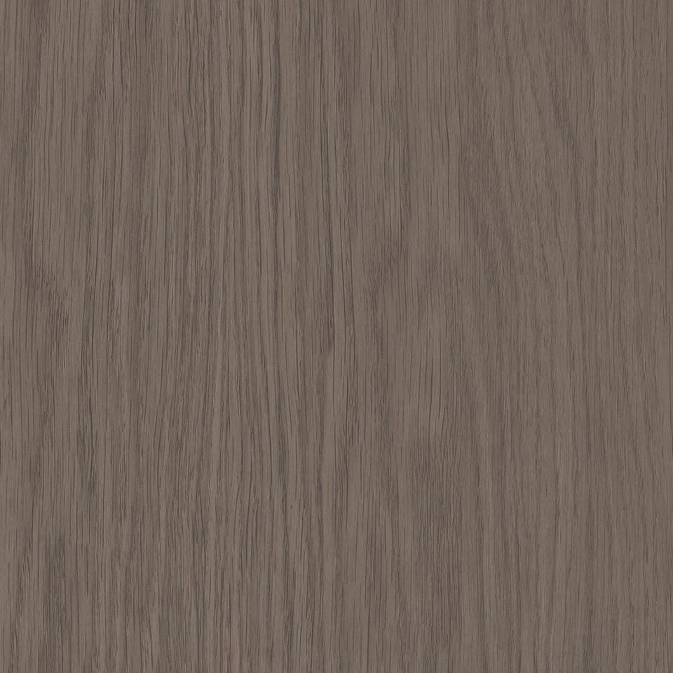 Society Oak