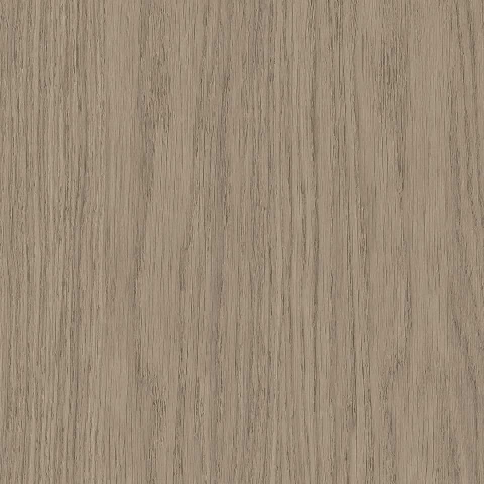 Botany Oak